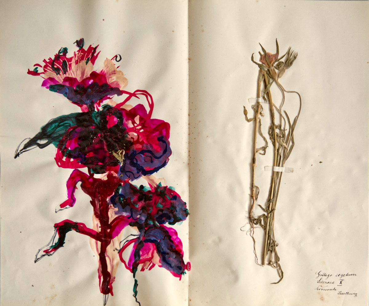 From the herbarium, mixed technique on paper 38,5 x 46 cm, 2024